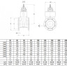 Задвижка VAG BETA 200 DN 65 PN 16 клиновая короткая 2