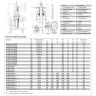 Задвижка AVK 06/30 DN 100 PN 10/16 фланцевая клиновая чугунная с обрезиненным клином 2