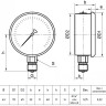 Мановакуумметр РОСМА ТМВ-320Р.00 (-0,1...0,3 МПа) Байонет Дкорп=63мм кл. 1,5 G1/4" виброустойчивый (готовый к гидрозаполнению) радиальный 00000033435 2