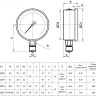 Манометр РОСМА ТМ-620Р.00 (0...250 кгс/см2) Дкорп=150мм кл. 1,0 M20x1,5 виброустойчивый (готовый к гидрозаполнению) радиальный 00000001683 2
