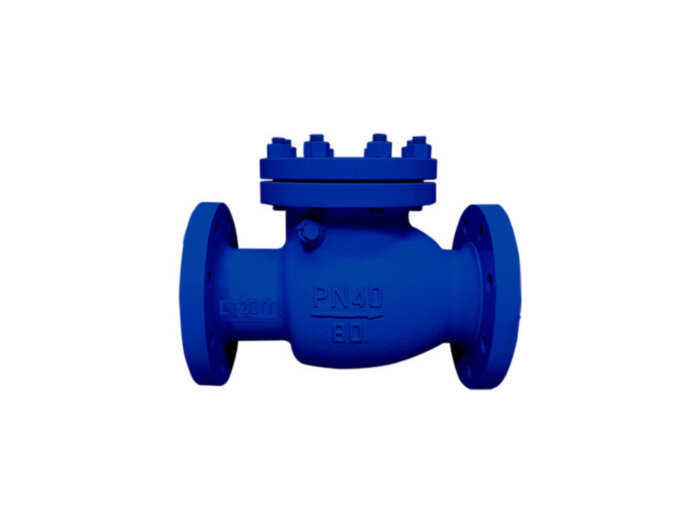 Клапан обратный 19лс53нж Ду 150 Ру 40 поворотный фланцевый