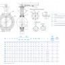 Затвор DENDOR 017W DN 65 PN 16 поворотный дисковый межфланцевый чугунный с рукояткой 2