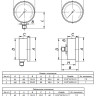 Реле давления ЭКОМЕРА Ру 0,6 МПа G 1/4'' 5