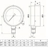 Манометр РОСМА ТМ-511Р.00 NH3 (0…1 МПа) Дкорп=100мм кл. 1,5 M20x1,5 аммиачный радиальный УТ-00047313 3