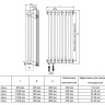 Дизайн-радиатор Royal Thermo INSIGNIA C3030 - 14 секц. RAL9016 4