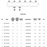 Коллектор распределительный Askon Стандарт КК-32М/125/50/4 4-х контурный ВР-НР 1 1/4"x2" Ду 32 Ру 6 без теплоизоляции 3