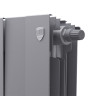 Радиатор биметаллический Royal Thermo PianoForte 300 VDR (12 секций) Silver Satin 2