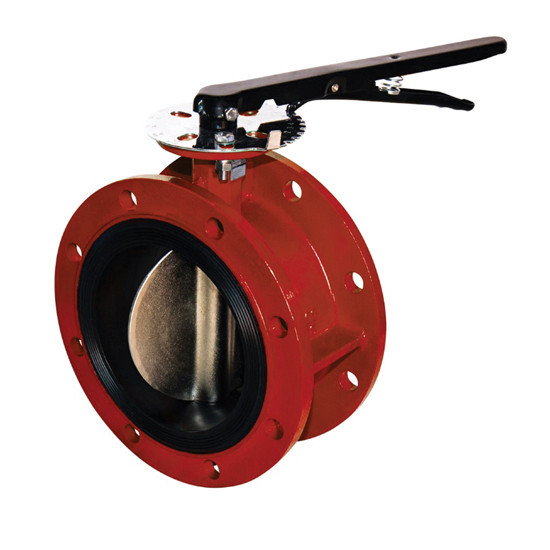 Затвор DENDOR 021F DN 65 PN 16 поворотный дисковый фланцевый с рукояткой для систем пожаротушения 1
