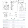 Затвор DENDOR 015W DN 40 PN 10 поворотный дисковый межфланцевый стальной с рукояткой 2