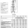 Задвижка клиновая ABRA A40-G DN 350 чугунная фланцевая с редуктором 2