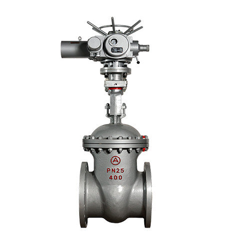 Задвижка 30лс964нж Ду300 Ру 25 стальная с электроприводом