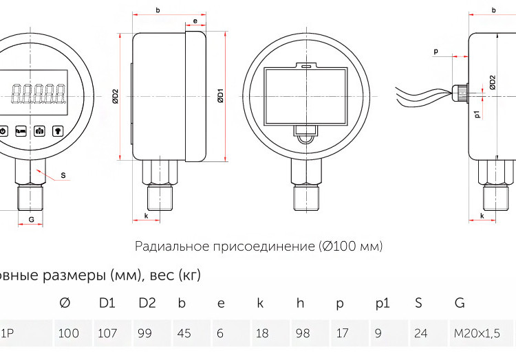 Манометр РОСМА ЦМ-И-521Р (0…100 MПa) Дкорп=100мм кл. 0,25 M20x1,5 цифровой радиальный, элементы питания 00000041810 4