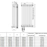 Дизайн-радиатор Royal Thermo INSIGNIA C3050 - 30 секц. RAL9016 4