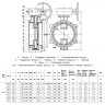 Затвор дисковый чугунный Benarmo 2210RA DN 250 PN 10/16 поворотный фланцевый двухэксцентриковый с редуктором 2