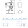 Клапан DENDOR VP DN 25 PN 0.5-16 электромагнитный непрямого действия муфтовый н/з 2